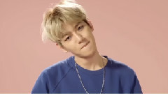 2016 SPAO S-S 伯賢 Ver.