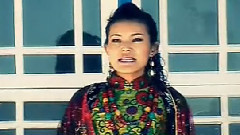民樂群星,華語群星 - 緣定西藏