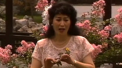憶王孫