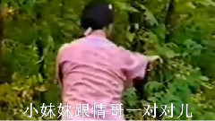 紅蘿卜 電視劇<康德第一保鏢傳奇>13集插曲