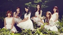Apink - Brand New Days