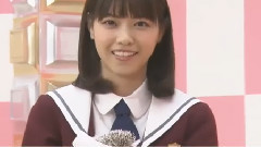 乃木坂46時間TV(西野動物園)