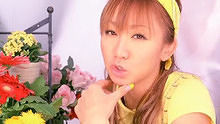 幸田來未 - 戀愛花蕾