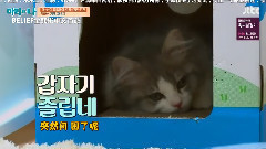 瑪麗與我 EP12 B.I Cut