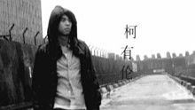 美麗 高清官方版
