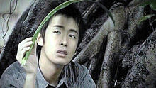 李逸朗《榕樹》