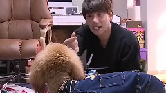 我獨 黃致列cut