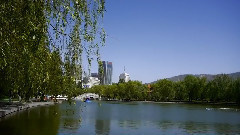 五月的鮮花