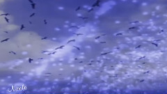 輕音樂,音樂短片 - BLUE DREAM