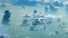 輕音樂 - Free As A Bird