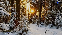 輕音樂 - A Winter Morning FIONA JOY