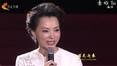 二十年后再相會