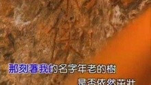 王杰-回家(原音)