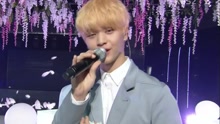 春天的記憶 - KBS音樂銀行 現場版 16/04/01
