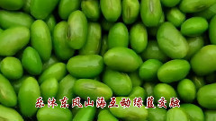 樂沐東風