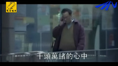 去年煙花特別多