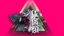 No More Pain 預告