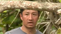 金炳萬叢林的法則in湯加 成種Cut