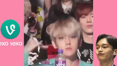 EXO什么鬼系列之魔性搞Siao的茶蛋Vine合集超長版