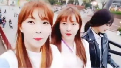 VAPP 直播去游樂園
