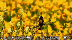 蔭中鳥