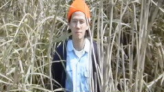 金巴利