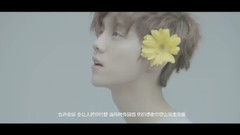你 2016鹿晗慶生應援