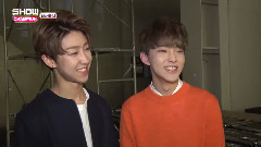 胡蘿卜星Carrot Hoshi