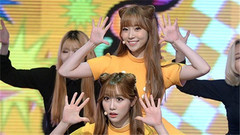Exquisite! - Show Champion 現場版 16/05/04