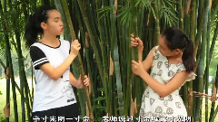 華語童星 - 童年