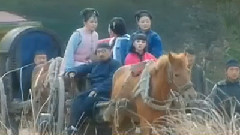 電視劇<神醫喜來樂傳奇>主題曲