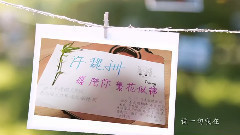 許魏洲,我愿陪你到繁花似錦