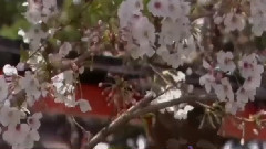 一生無悔