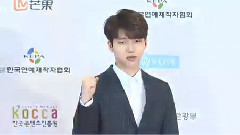 Dream Concert 2016 紅毯 南優賢Cut