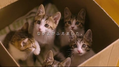 グーグーだって貓である2 プロモーション映像 90秒