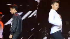 青宇 社會搖