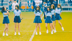 愛情星