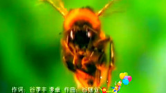 華語童星,原創 - 春天和孩子