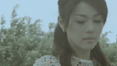 落葉