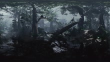  - 《泰山歸來：險戰叢林》預告2