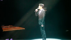 雷頌德演唱會之黎明演唱明星 飯拍版