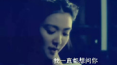 愿得一人心 飯制版