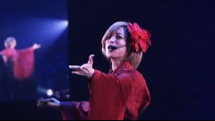 演唱會經典剪輯 飯制版