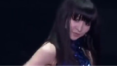 Disco!Disco!Disco!演唱會