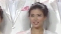迎風飄揚的旗