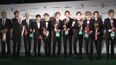 SSTV 釜山國際電影節新聞