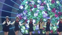 愛?不愛!