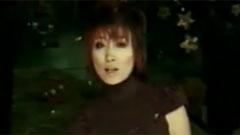 不想騙自己