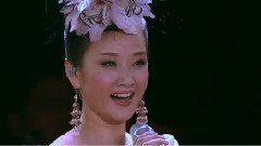 大地飛歌