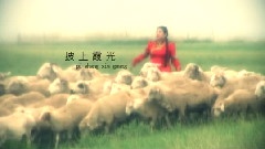 把愛留在草原